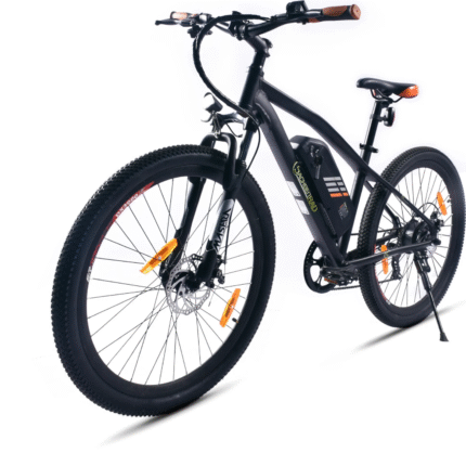 SachsenRAD R6 E-Mountainbike