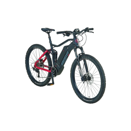 Prophete Graveler e9000 E-MTB