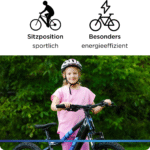 Zündapp Z240 Elektro Mountainbike