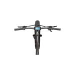 Telefunken E-Fatbike Aufsteiger FM350