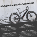 Telefunken E-Fatbike Aufsteiger FM350