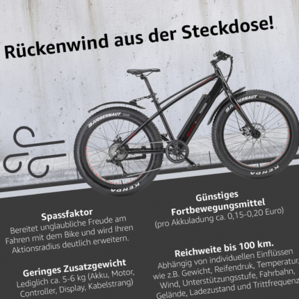 Telefunken E-Fatbike Aufsteiger FM350