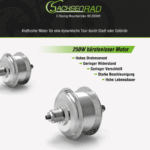 SachsenRAD R6 E-Mountainbike